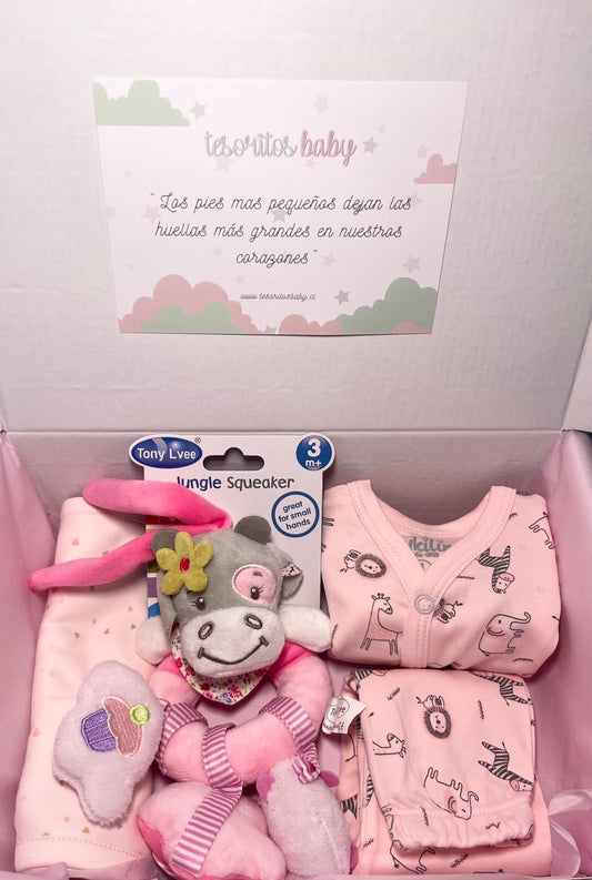 BOX BABY SHOWER GIRLY - Tesoritos Baby